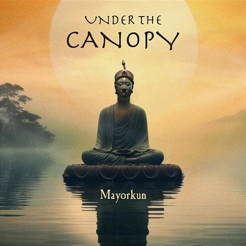 Under The Canopy Mayorkun