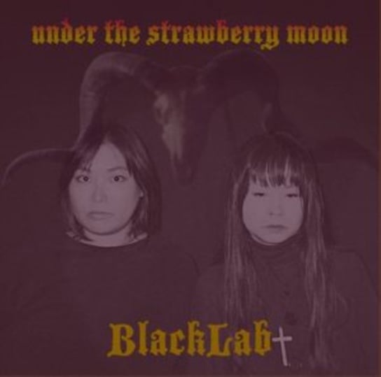 Under The Strawberry Moon BlackLab