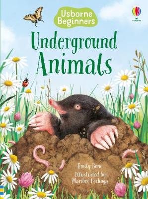 Underground Animals Bone Emily