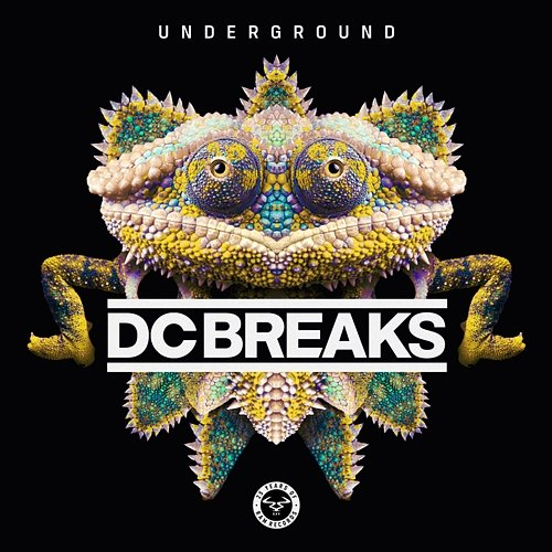 Underground DC Breaks