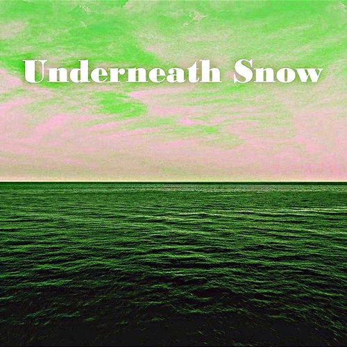 Underneath Snow Trong Arion
