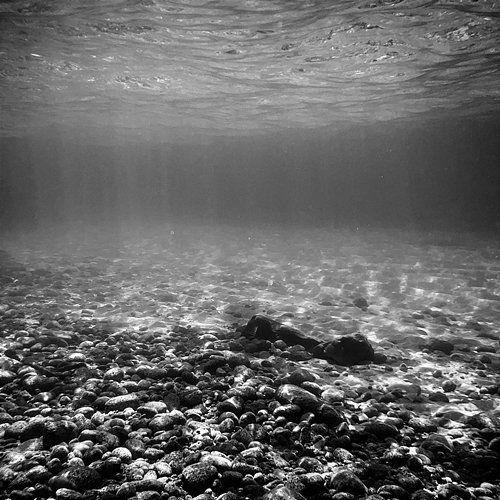 Undersea Francesco Nigri