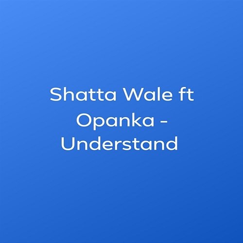 Understand Shatta Wale feat. Opanka