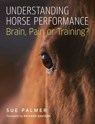 Understanding Horse Performance Palmer Sue