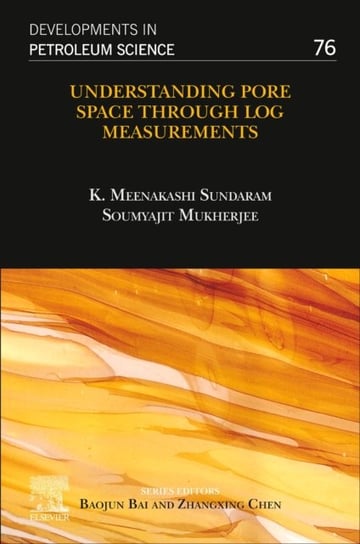 Understanding Pore Space through Log Measurements Opracowanie zbiorowe