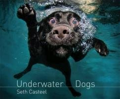 Underwater Dogs Casteel Seth