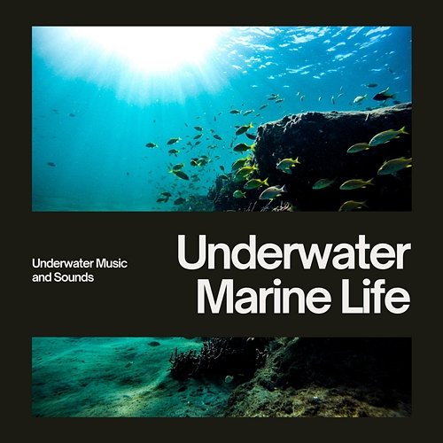 Underwater Marine Life Underwater Music and Sounds, Whales, Nature Lab