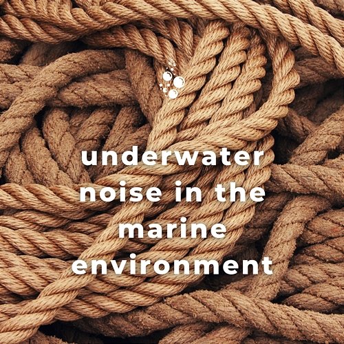 Underwater Noise in the Marine Environment Underwater World, Whale Song, Epic Soundscapes