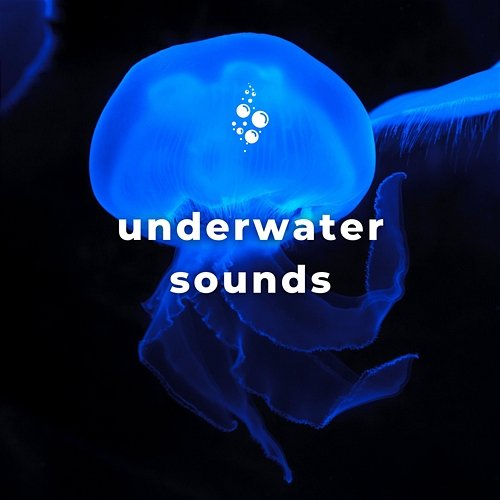 Underwater Sounds with No Music Underwater World