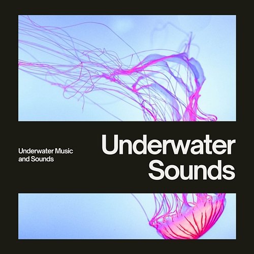 Underwater Sounds Without Getting Wet Underwater Music and Sounds, Whales, Nature Lab