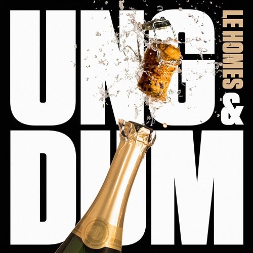 Ung & Dum Le Homes