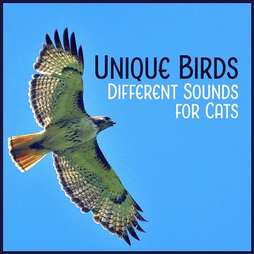 Unique Birds - Different Sounds for Cats Calm Pets Music Academy, Sound of Nature Library