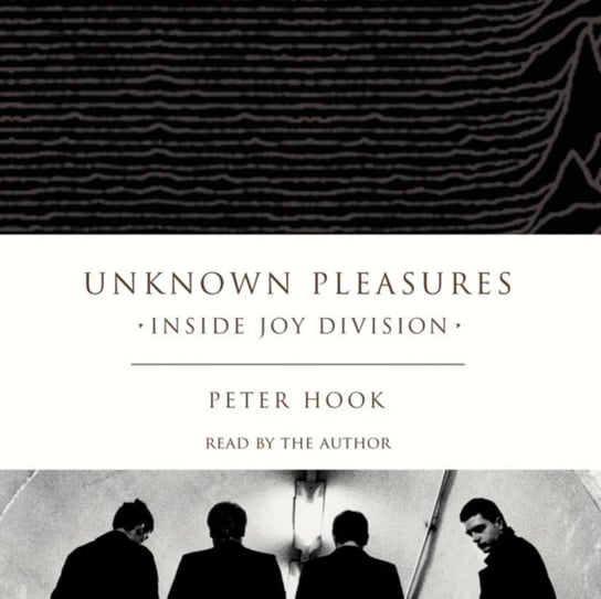 Unknown Pleasures - audiobook Hook Peter