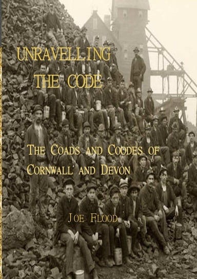 Unravelling the Code Flood Joe