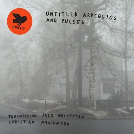Untitled Arpeggios and Pulses Trondheim Jazz Orchestra