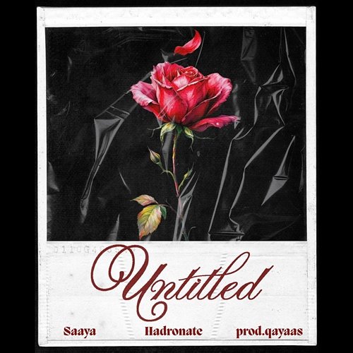 Untitled prod.qayaas, Saaya, Hadronate
