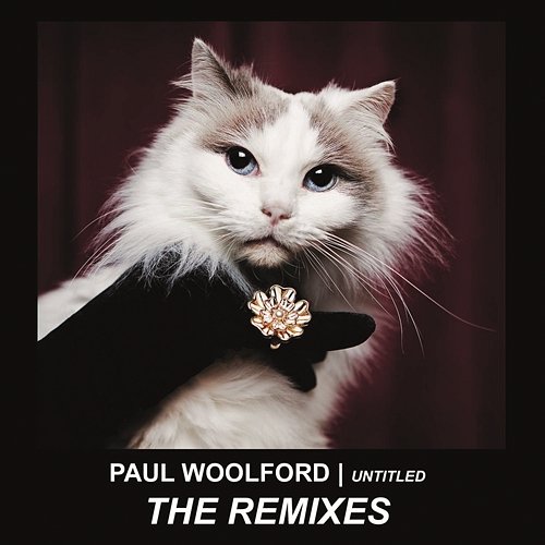 Untitled (Call Out Your Name) (Remixes) Paul Woolford