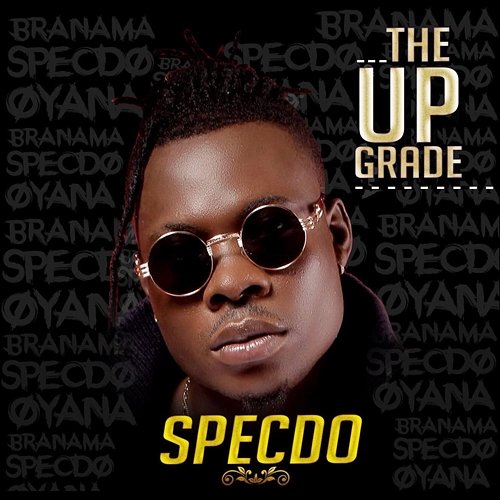 Upgrade Specdo
