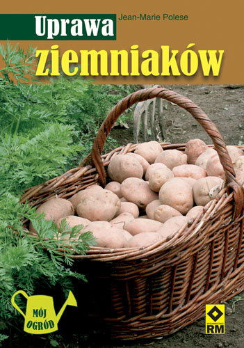 Uprawa ziemniaków Polese Jean-Marie