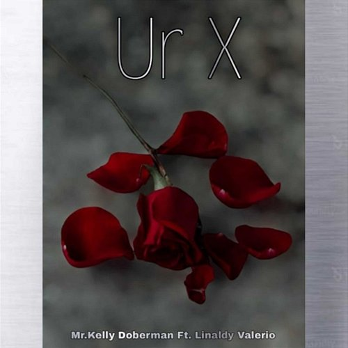 Ur X Mr. Kelly Doberman feat. Linaldy Valerio