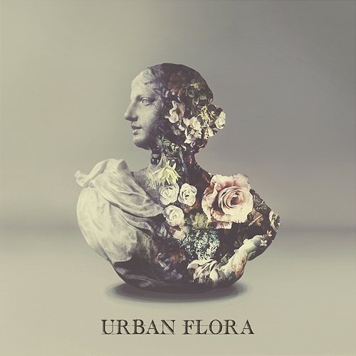 Urban Flora Alina Baraz, Galimatias