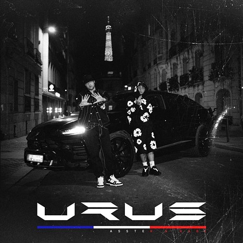 URUS Asster, Kabe
