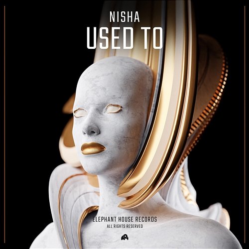 Used To NISHA (H)