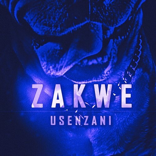 Usenzani Zakwe