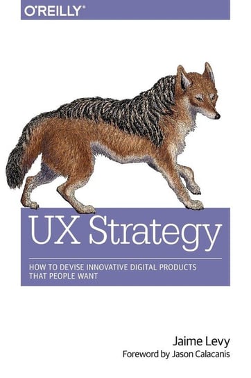 UX Strategy Levy Jaime
