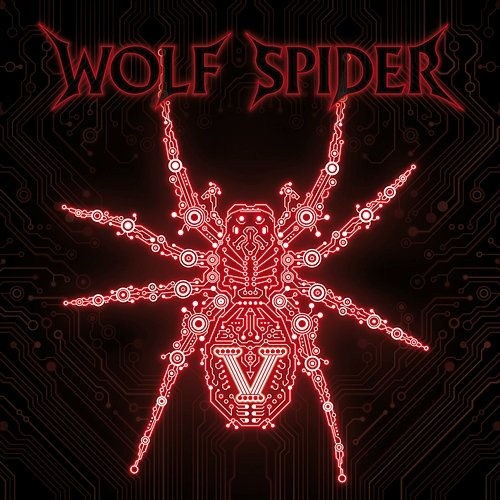 V Wolf Spider