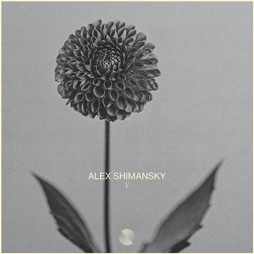 V Alex Shimansky
