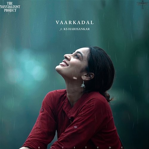 Vaarkadal Shravan Sridhar, K. S. Harisankar, The Non Violinist Project
