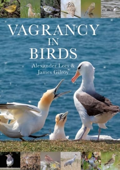 Vagrancy in Birds Alexander Lees, Dr James Gilroy