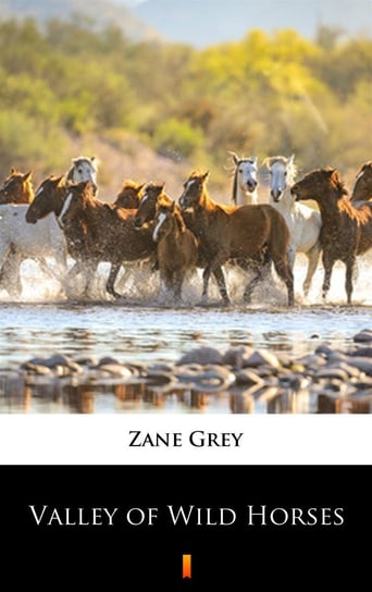 Valley of Wild Horses Grey Zane