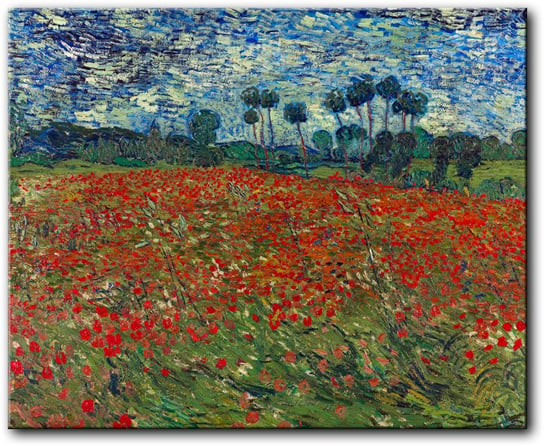 Van Gogh Pole maków - PR03855 PRINTORAMA