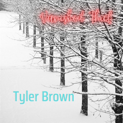 Vanished Thief Tyler Brown