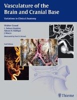 Vasculature of the Brain and Cranial Base Siddiqui Adnan H., Mocco J., Hopkins Nelson L., Grand Walter