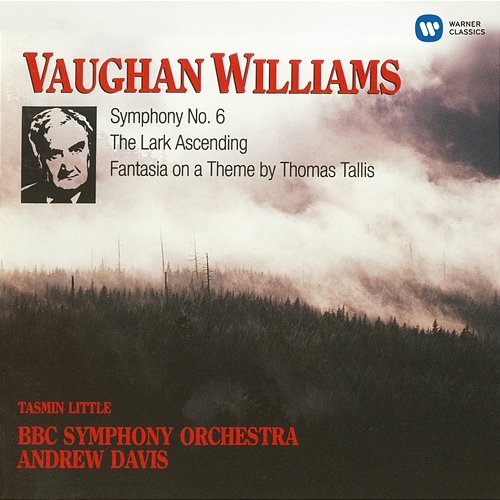 Vaughan Williams: Symphony No. 6, "The Lark Ascending", Fantasia On A Theme By Thomas Tallis, Fantasia on Greensleeves, The Wasps-Overture Andrew Davis