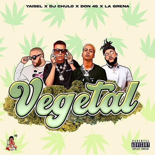 Vegetal DJ Chulo NYC, Yaisel LM, El Don 45