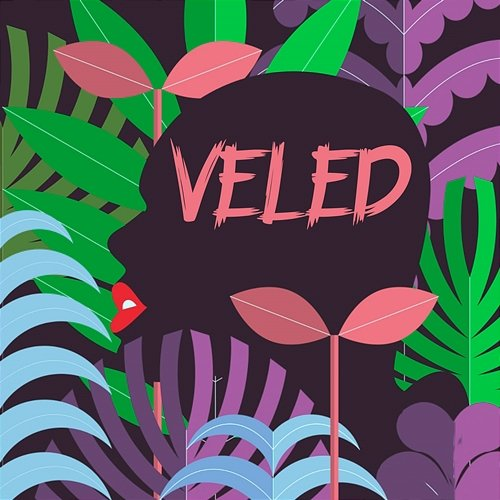Veled Compact Disco
