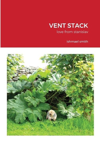 Vent Stack smith ishmael