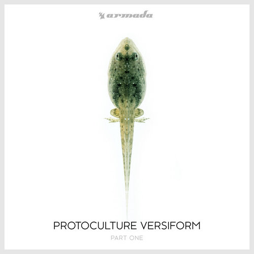 Versiform. Part 1 Protoculture