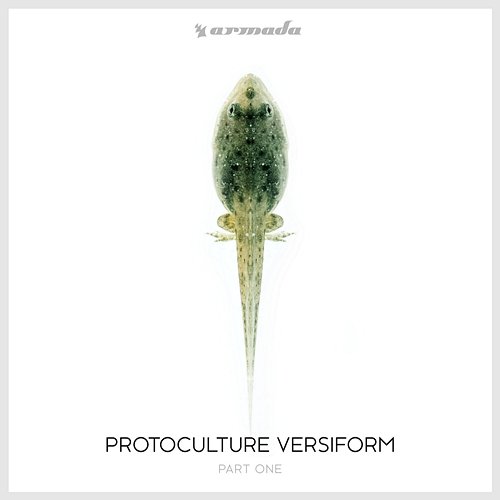 Versiform, Pt. 1 Protoculture