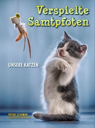 Verspielte Samtpfoten Herramhof Verlag