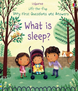 Very First Lift-the-Flap Questions & Answers What is Sleep? Daynes Katie