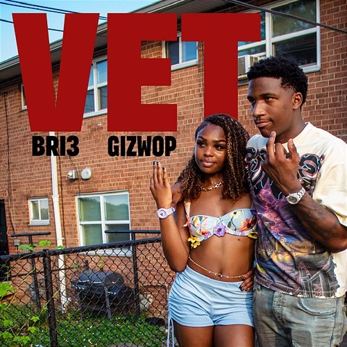 VET Bri3 feat. Gizwop