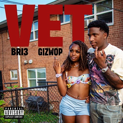 VET Bri3 feat. Gizwop