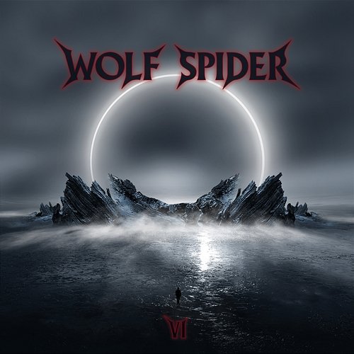 VI Wolf Spider