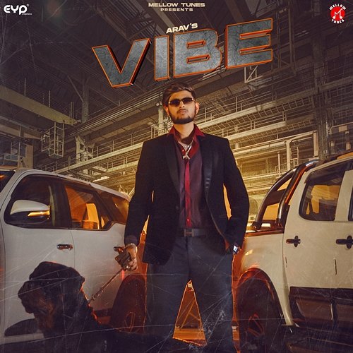 Vibe Arav
