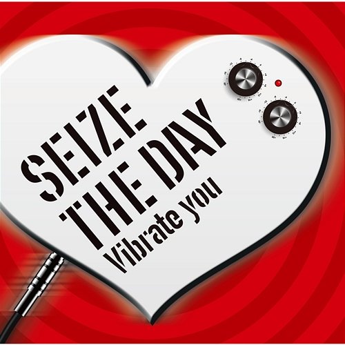 Vibrate You SEIZE THE DAY